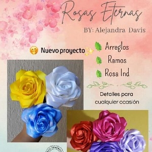 ROSAS ETERNAS  thumbnail