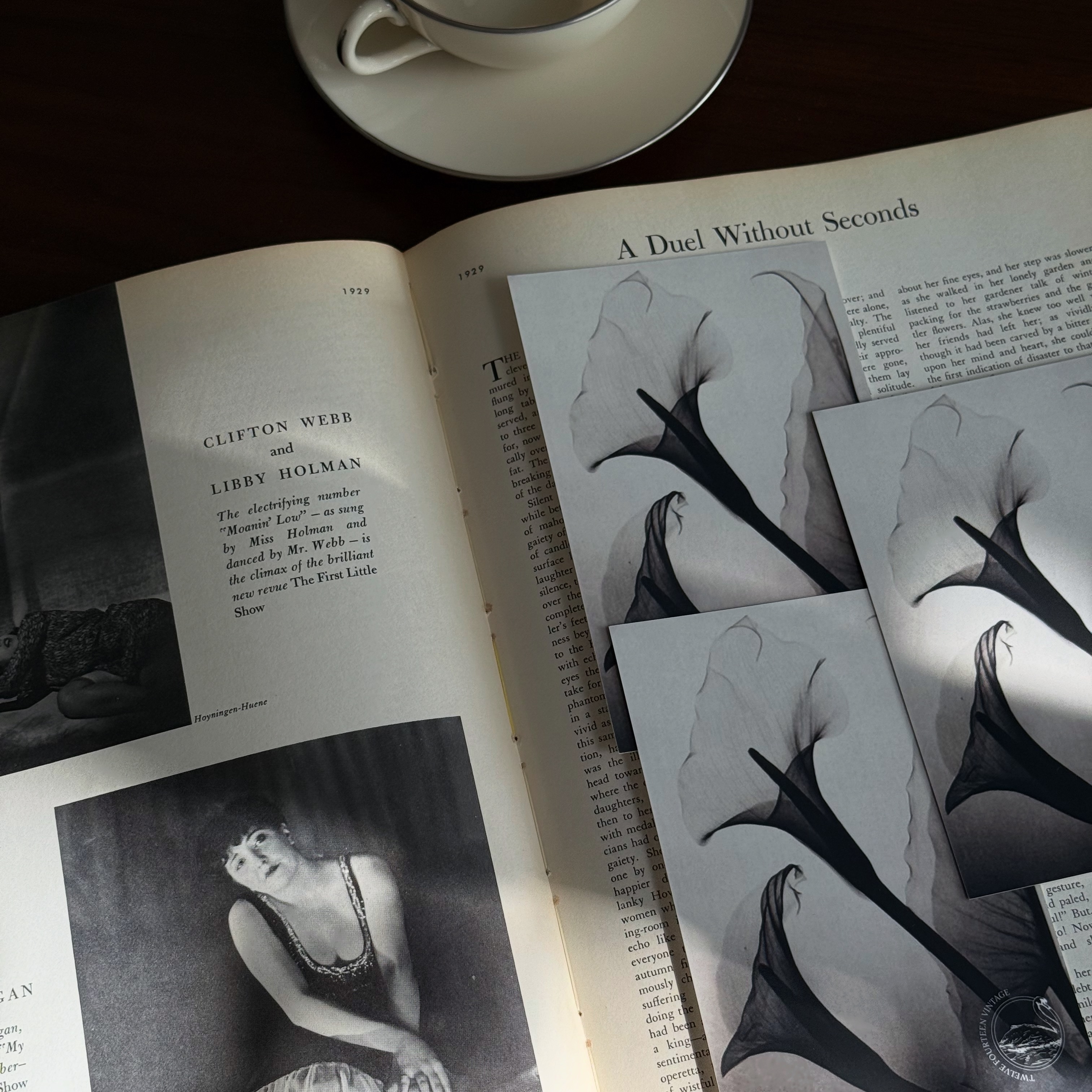 Newsletter Sign Up thumbnail