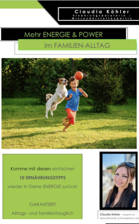 eBook: Der ultimative ENERGIE-Leitfaden thumbnail