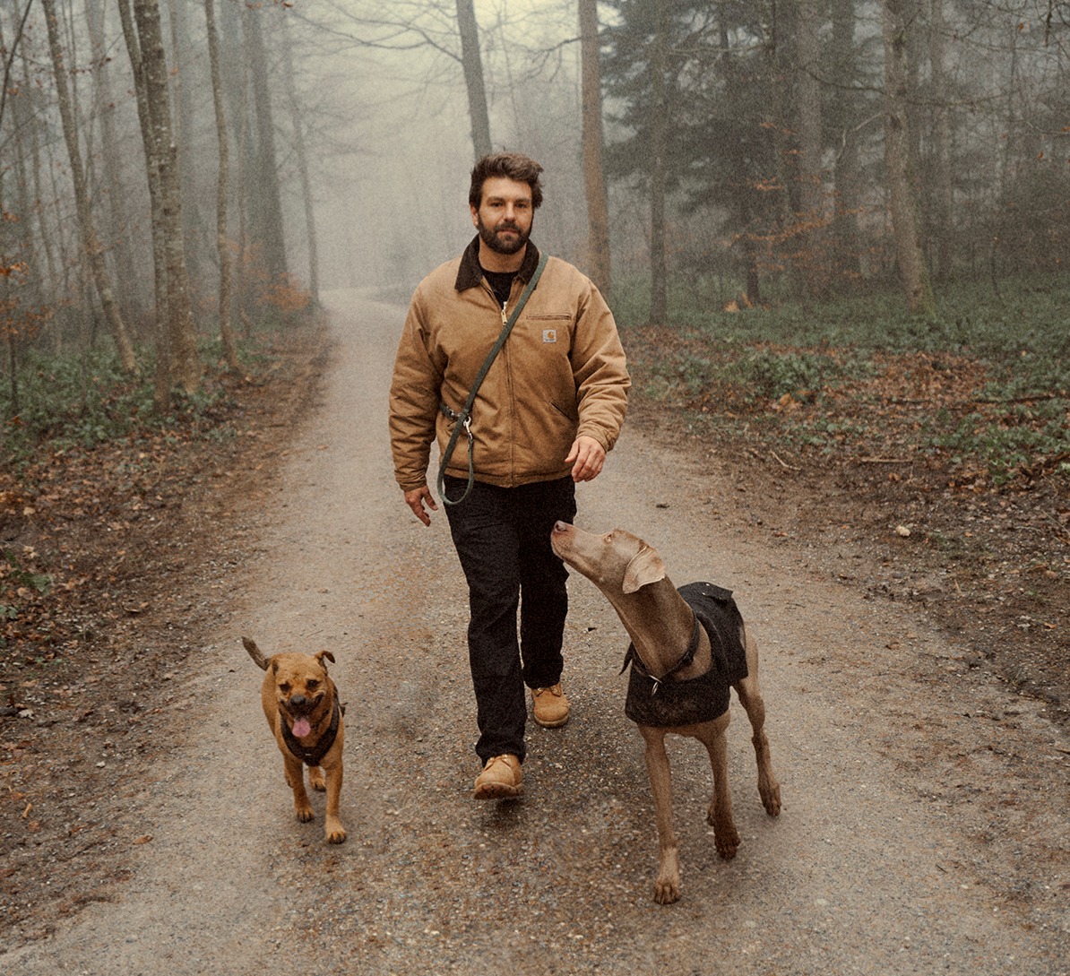 Gratis | Kurs Reaktivität thumbnail