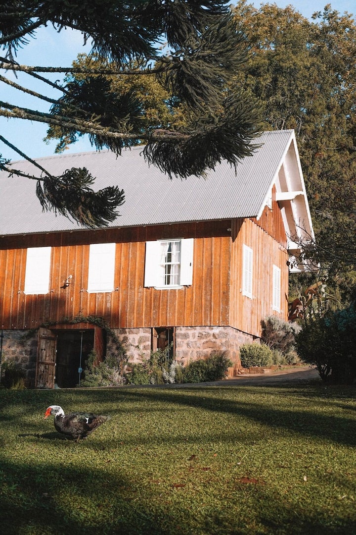 Airbnb | Casa Nonno - Até 8 hóspedes thumbnail