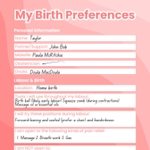 FREE LMC-friendly Birth Plan thumbnail