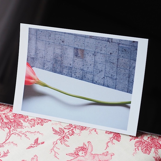 Postcard “freesia” thumbnail