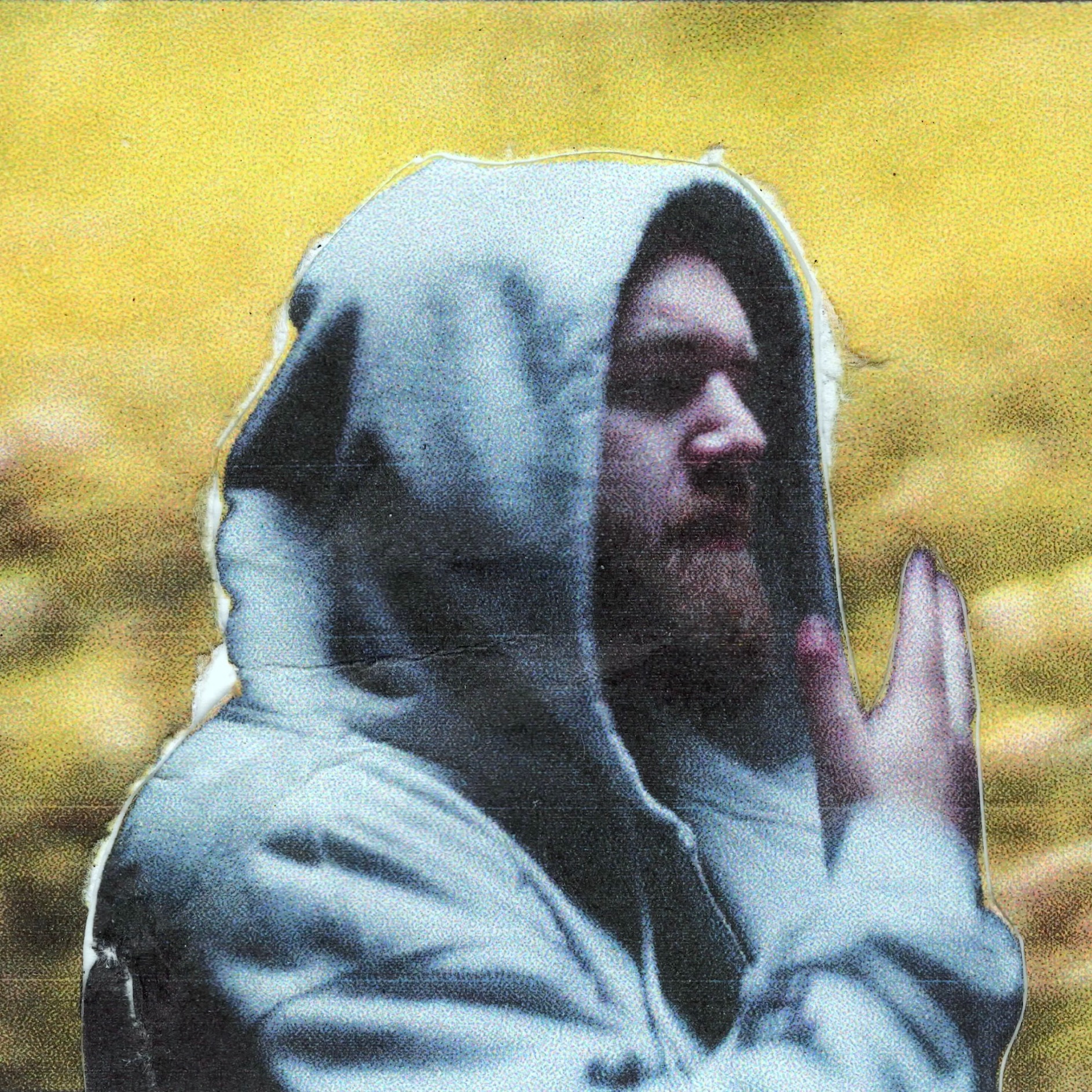 the fall - music video thumbnail