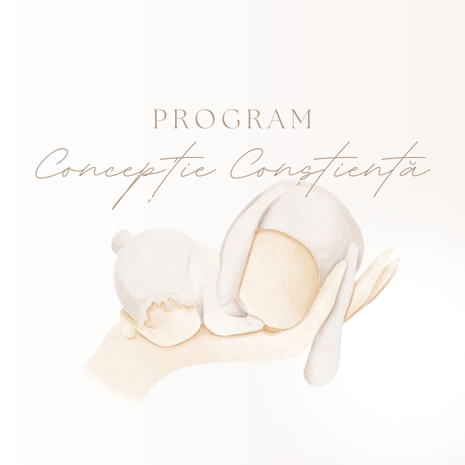 Concepție Conștientă thumbnail