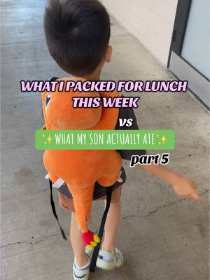 WHAT MY SON ATE LAST WEEK🥰— he’s not picky he’s particular 😆 all lunches from home bc he hates school lunch 🫠 #lunch #lu
