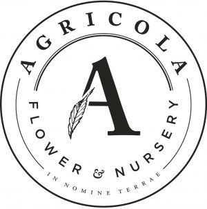 Agricola Flowers  thumbnail