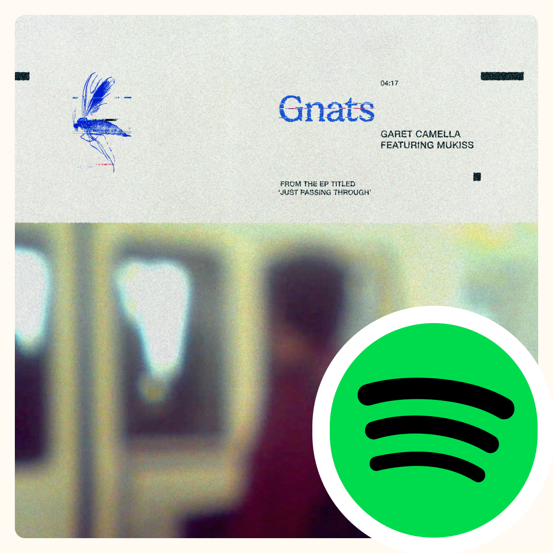 'Gnats' on Spotify thumbnail