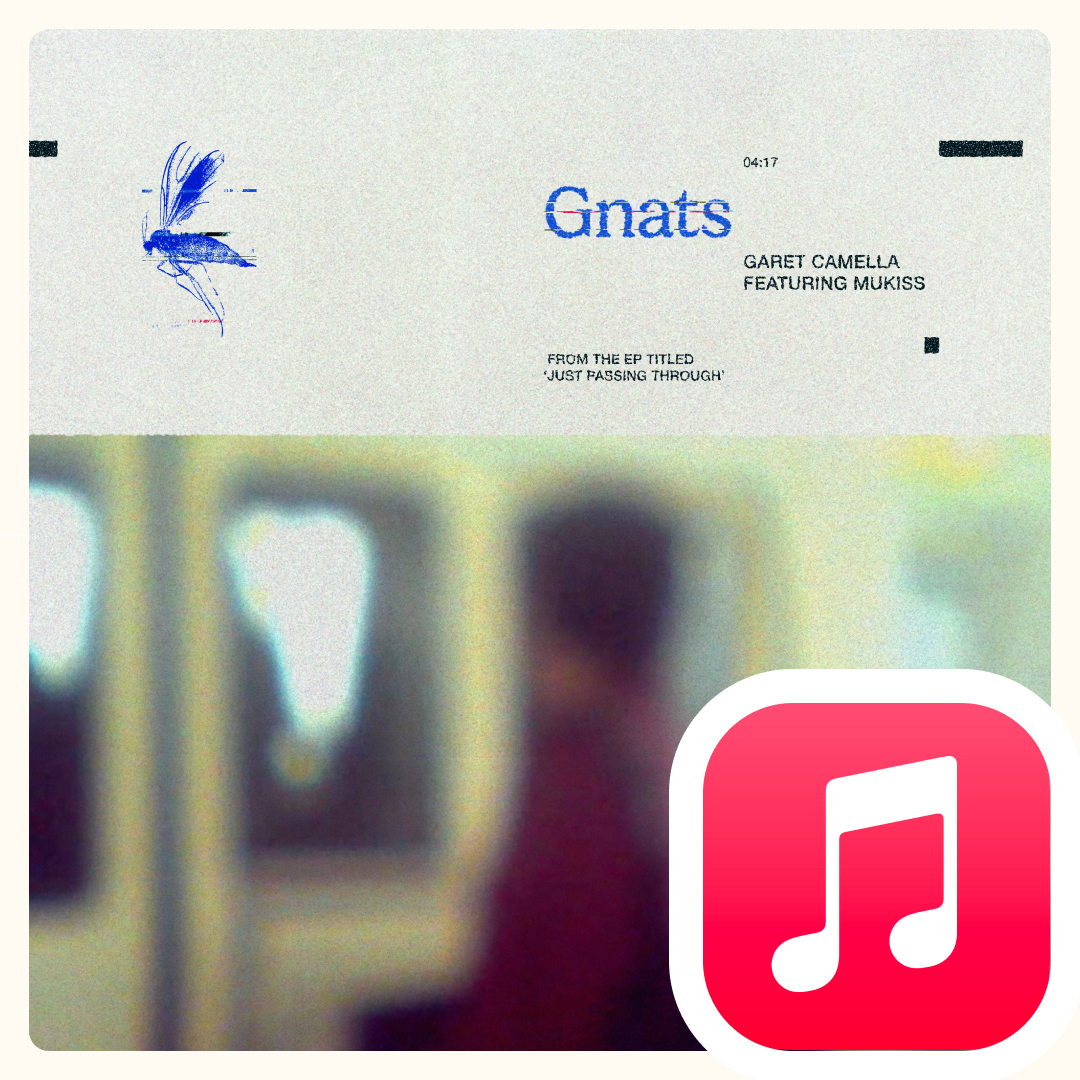 'Gnats' on Apple&nbsp;Music thumbnail