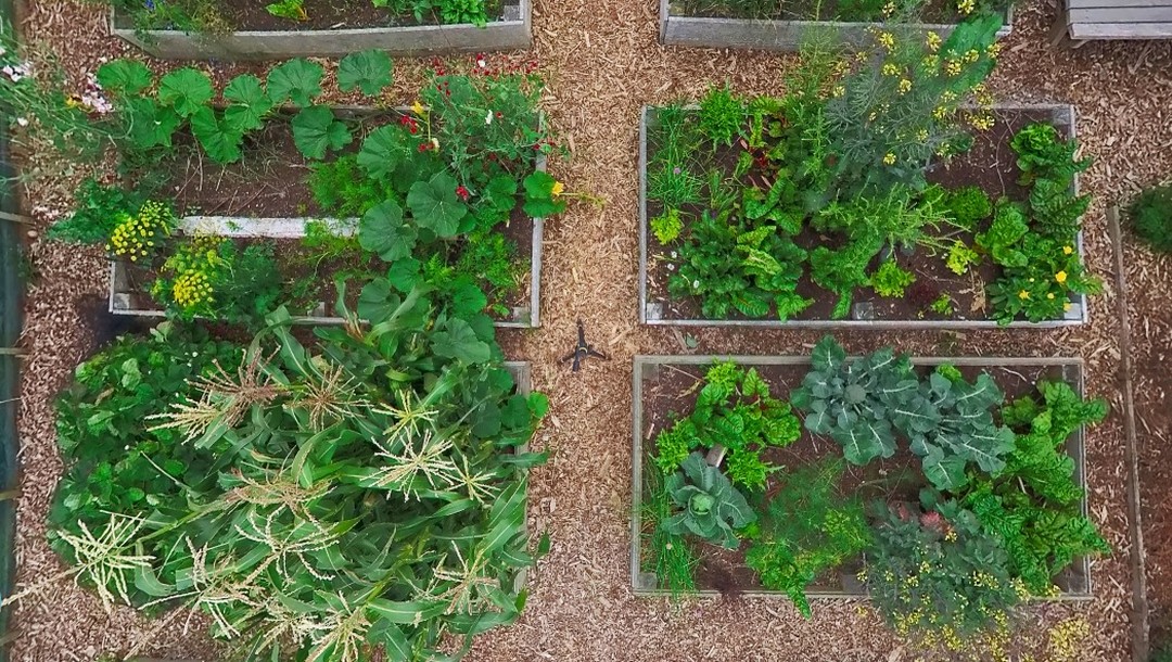 🌿🌳🌱 Ivan Johnstone from the Seniors Climate Action Network (SCAN) has created a lovely virtual tour of the bountiful Hea