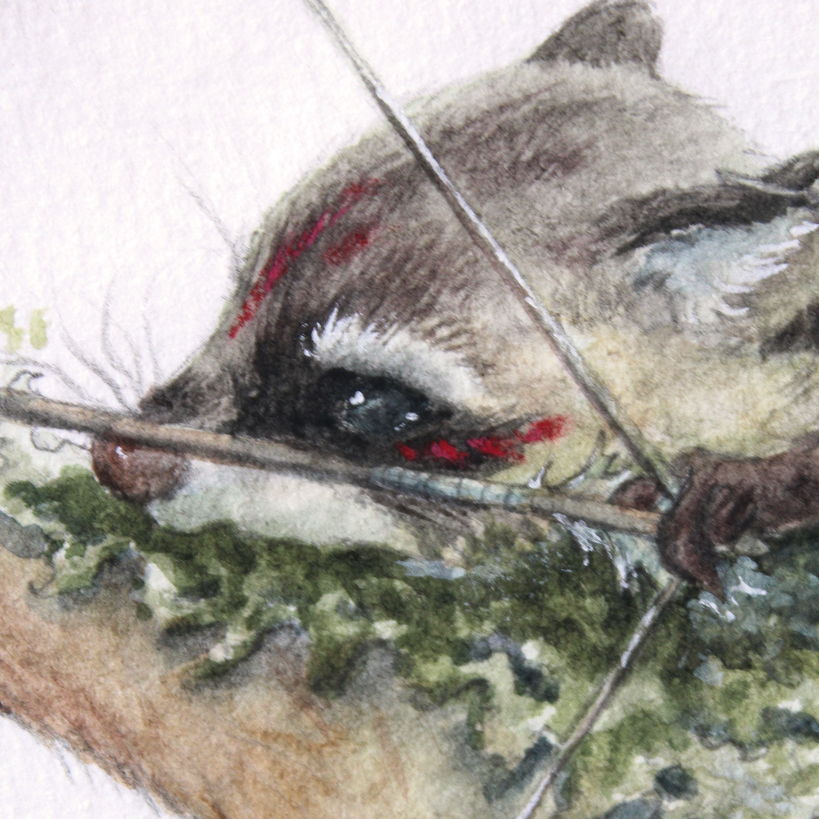 International shop thumbnail