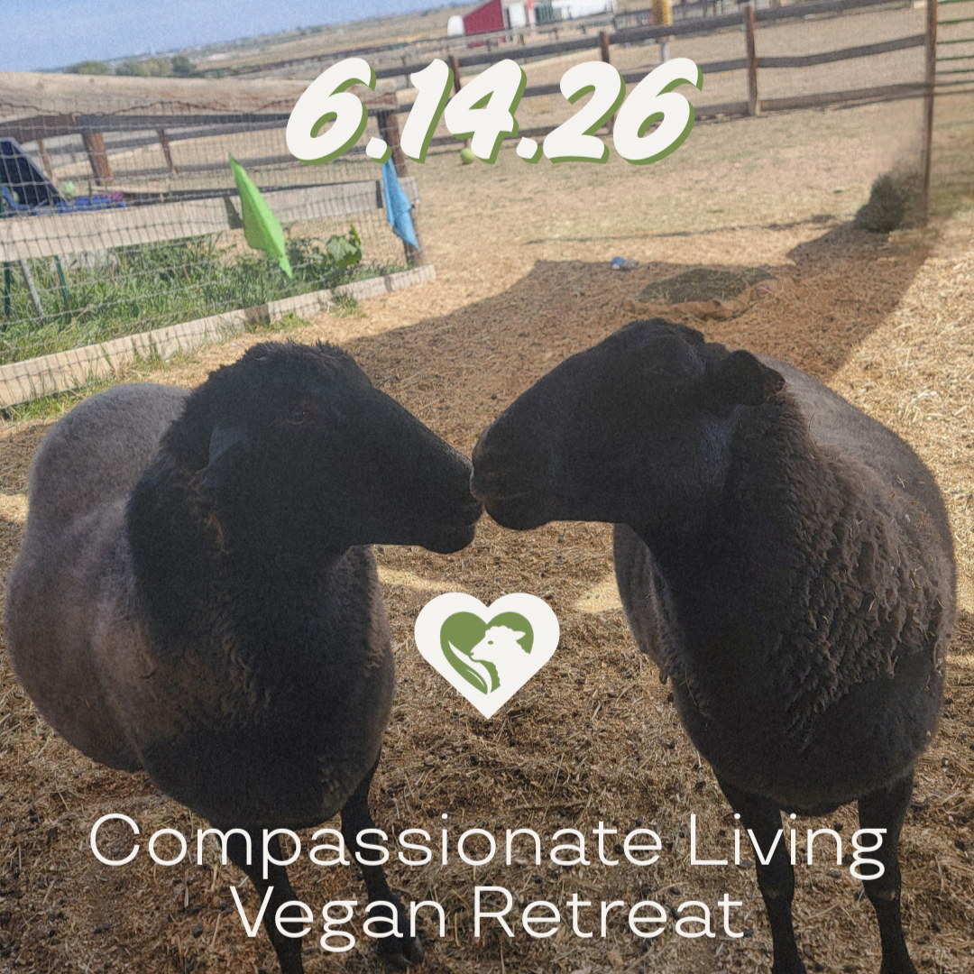 June Luvin Arms Retreat thumbnail