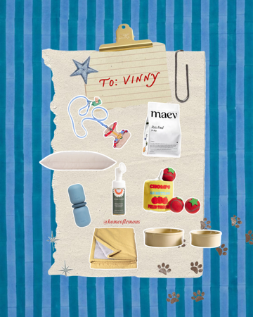 to the dog thumbnail