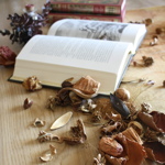 MES FORMULES DE BÊTA-LECTURE thumbnail