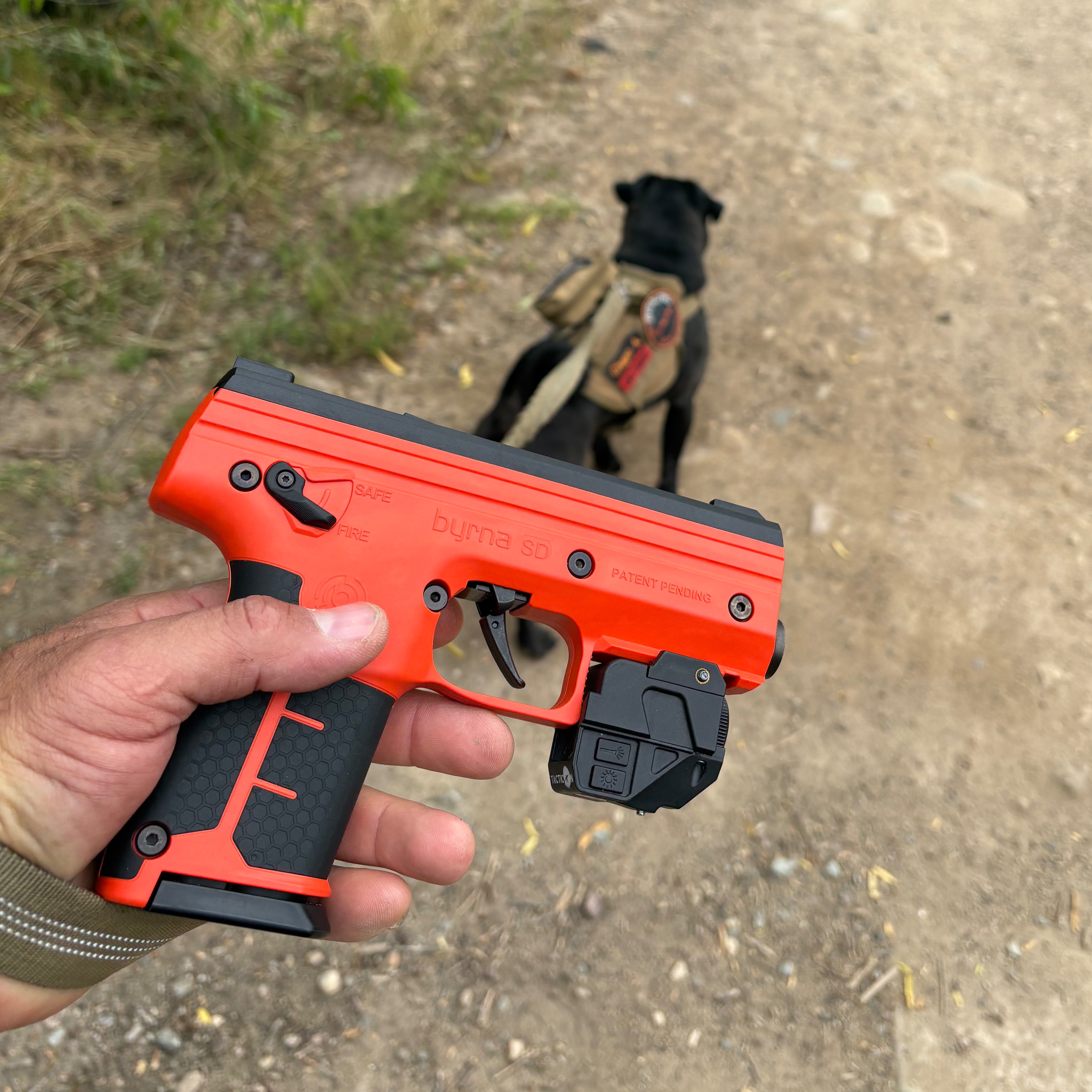 Byrna gun.   PL_overland thumbnail
