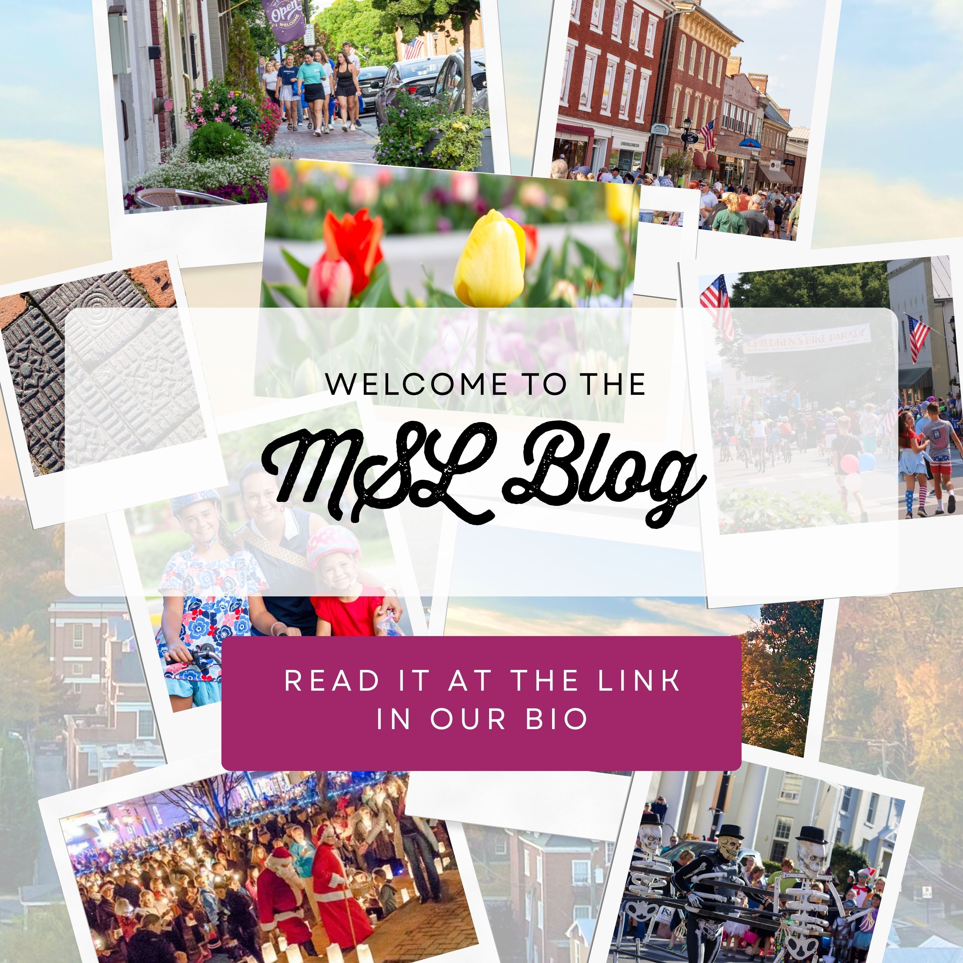 MSL Blog thumbnail
