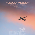 🌴GOOD VIBES IBIZA MIX🌴 thumbnail