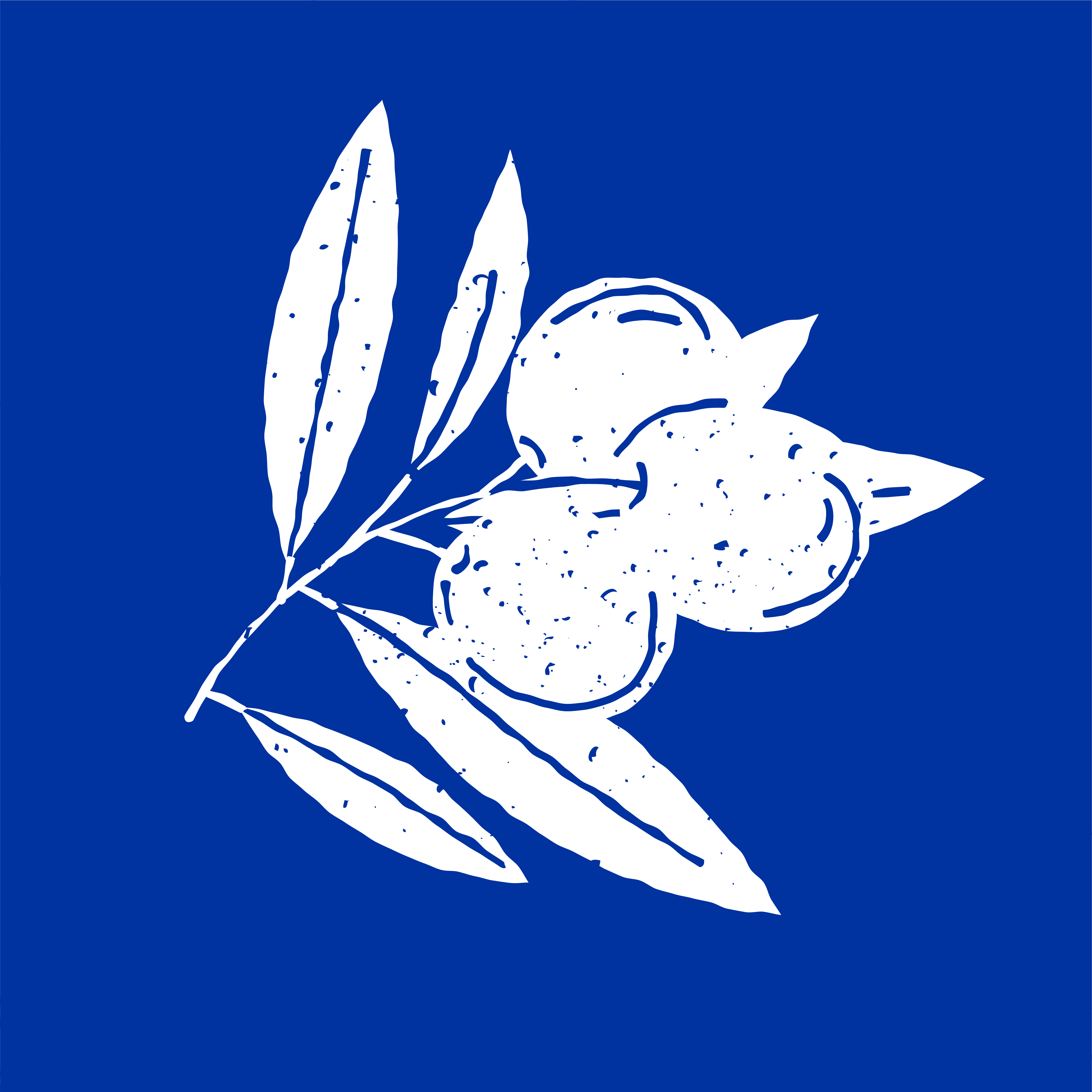 Monte o seu Açaí thumbnail