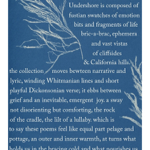 David Villaverde reviews UNDERSHORE for RHINO thumbnail