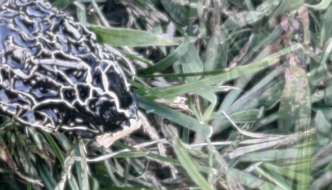 The Dialogue of the Eye: Wright, Truitt, and Martin – Post45 thumbnail