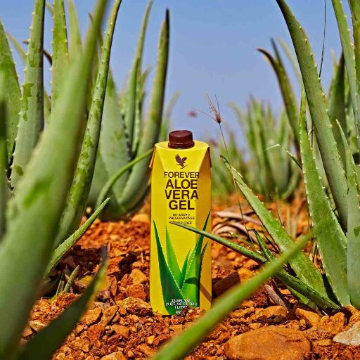 Cure minceur ? C'est ici !!! Plus d'infos en mp. Ma boutique en ligne : ALOE VERA by FOREVER  thumbnail