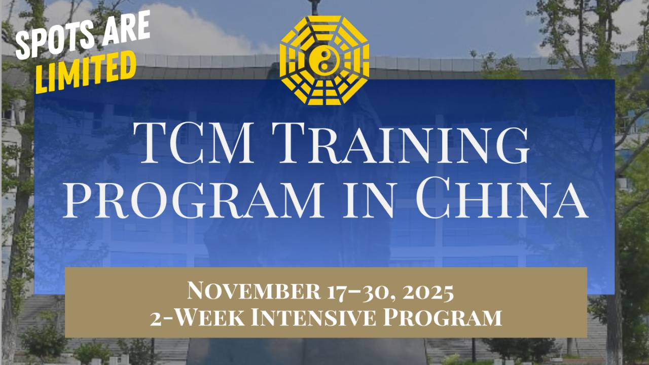 2025 Traditional Chinese Medicine Training Trip thumbnail