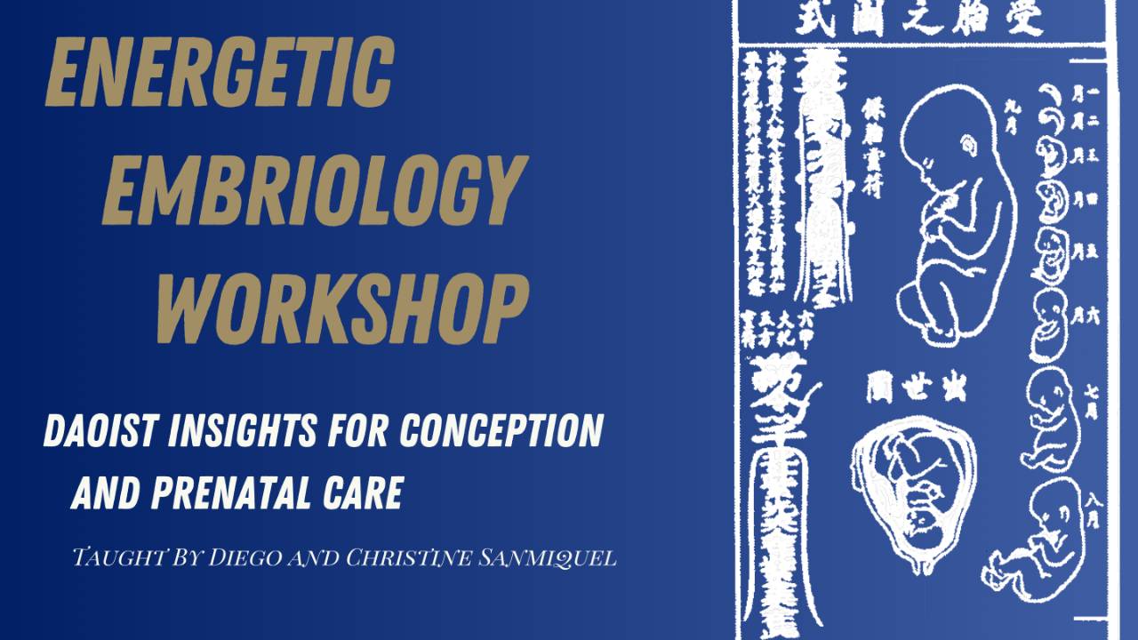 Energetic Embryology: Daoist Insights for Conception and Prenatal thumbnail