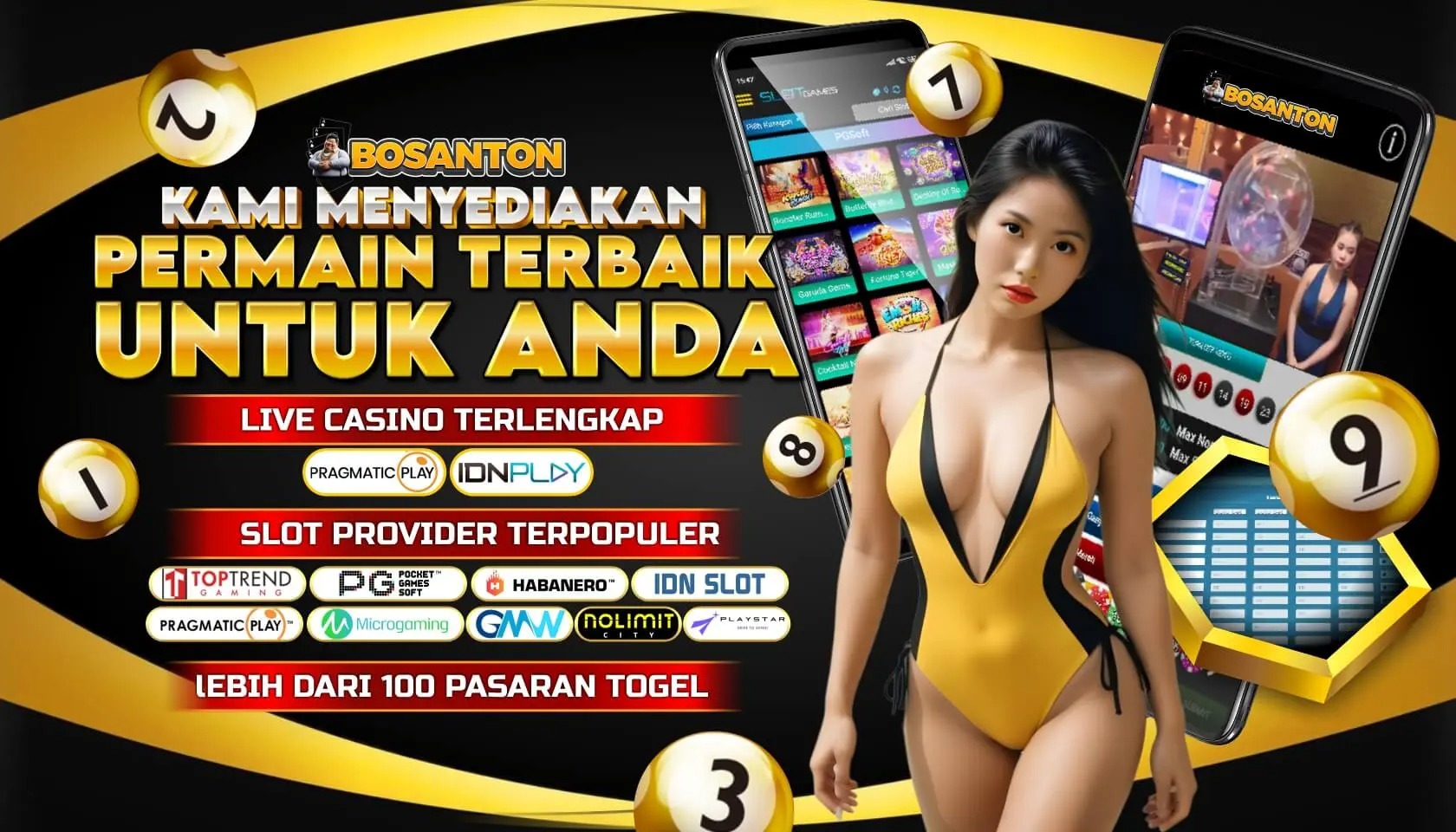 REGISTER BOSANTON thumbnail