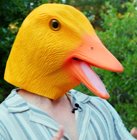 20% de réduction sur le site K&F Concept thumbnail