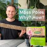 Learn about Moss Poles thumbnail