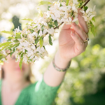 Gut Transformation Programme thumbnail