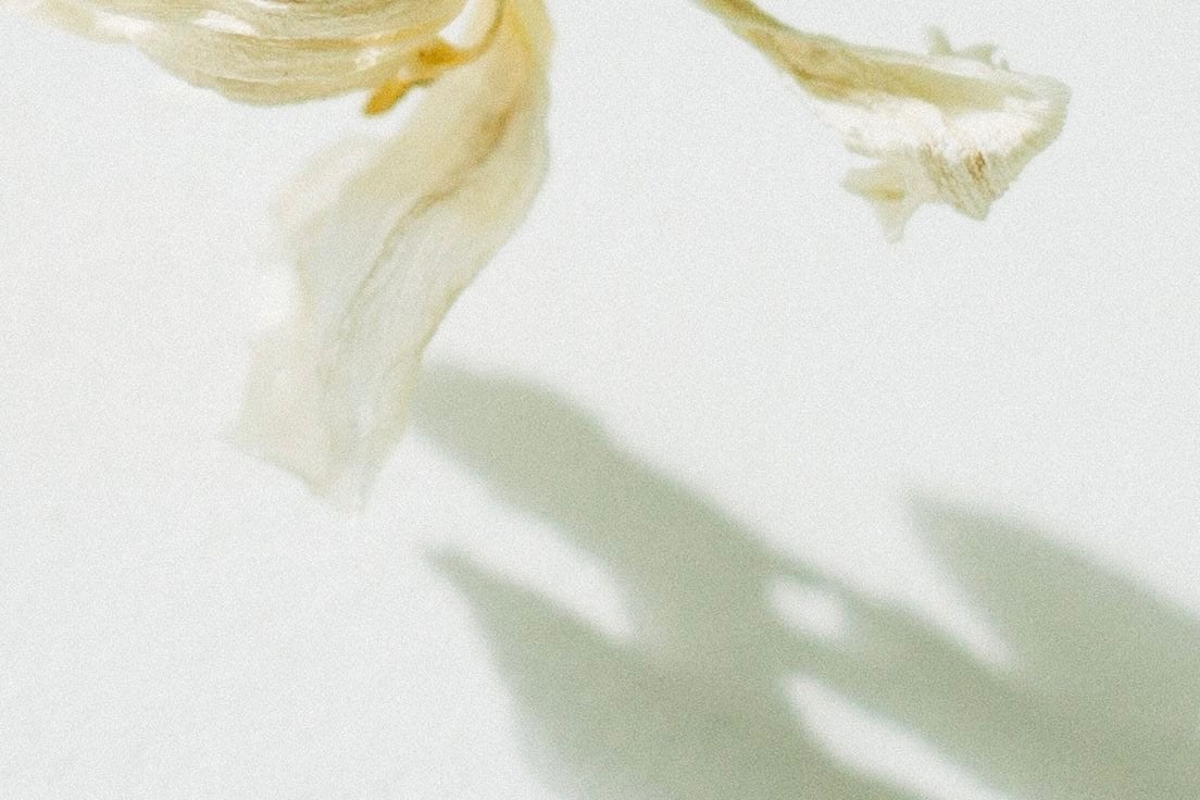 Espacio gratuito de meditación: ¡súmate aquí! thumbnail