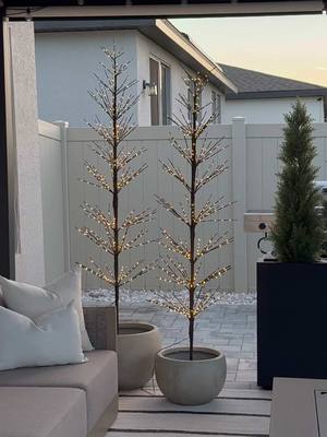 The prettiest starlit trees✨🦌| Links in my Bio Amazon Storefront🔗 — Perfect indoors or outdoors for that cozy, festive t