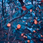 Author Interest forms  thumbnail