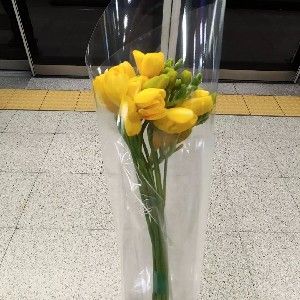 첫번째 레터💌 : 삼천원으로 행복해지는 법 thumbnail