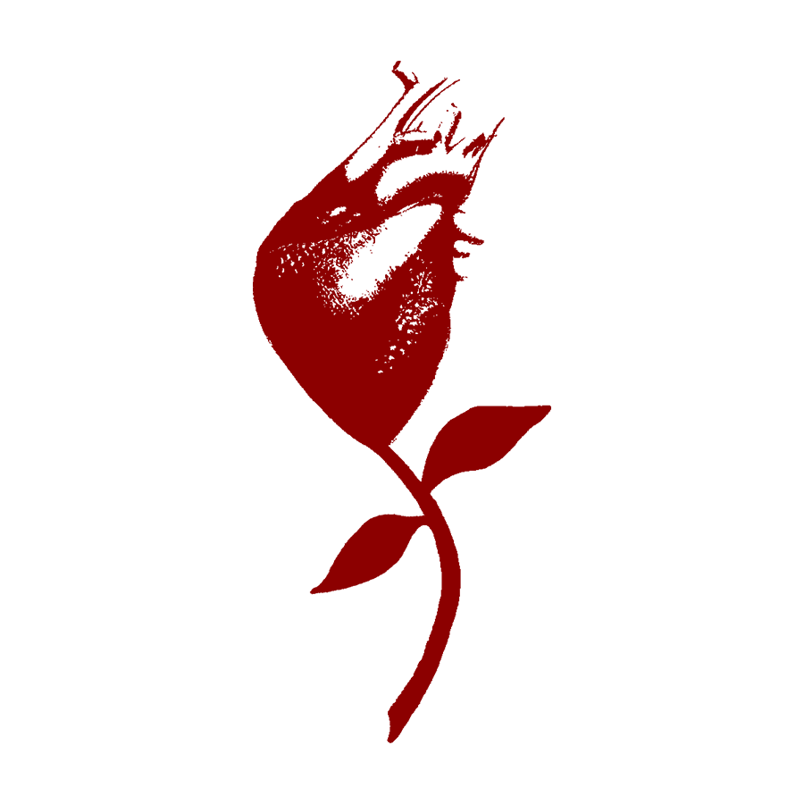 Website thumbnail