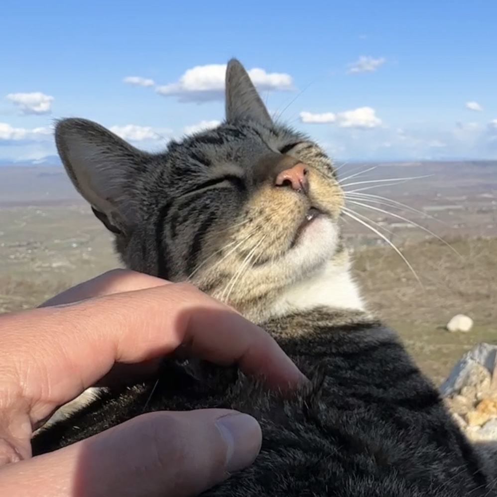 Instagram thumbnail