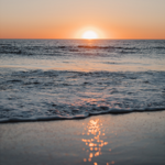 Photographie  thumbnail