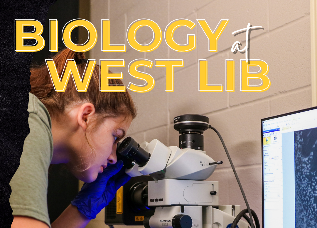 Support BIOLOGY | Day of Giving thumbnail