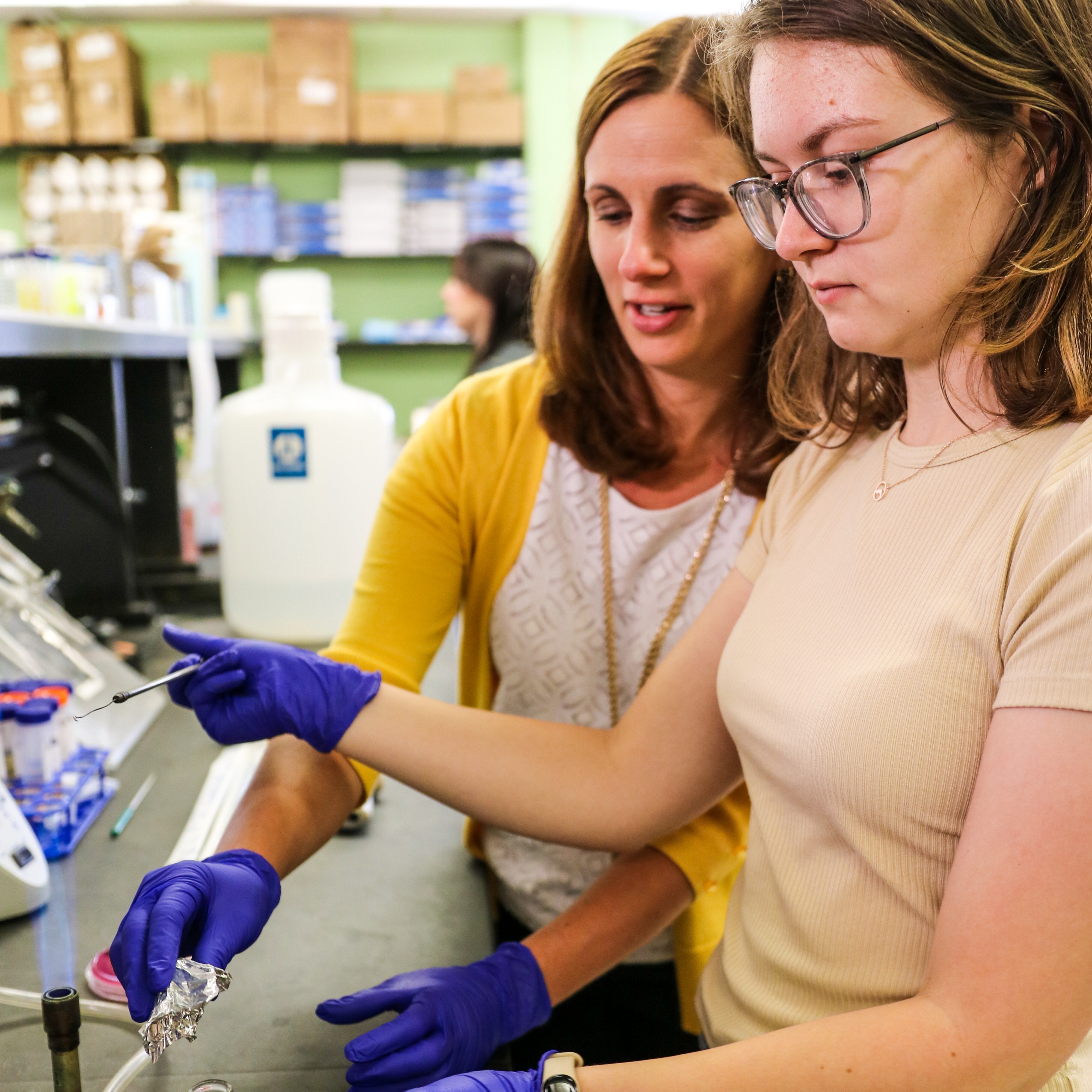 MA/MS IN BIOLOGY thumbnail