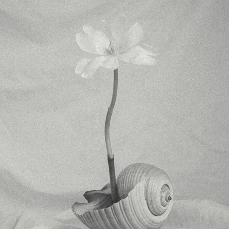 Formulario de Inscripción al Workshop thumbnail