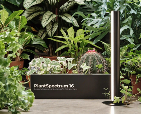 Luci per piante PlantSpectrum thumbnail