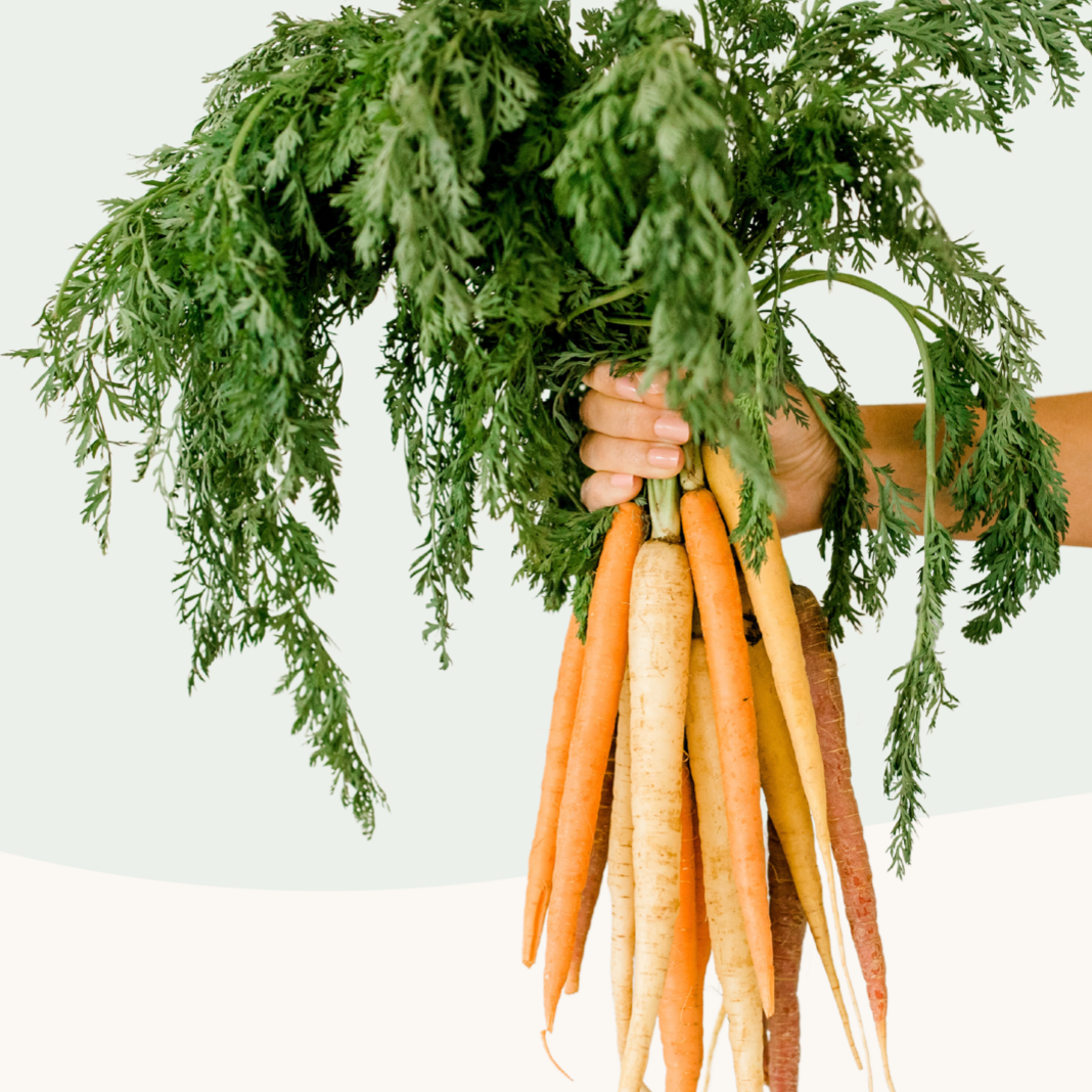 Root Functional Medicine : Shelby15 for $15 off thumbnail