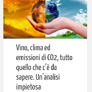 Focus: vino ed emissioni di CO2 thumbnail