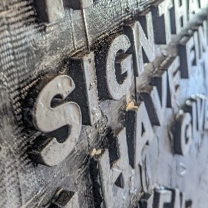 The WCKD Collection thumbnail