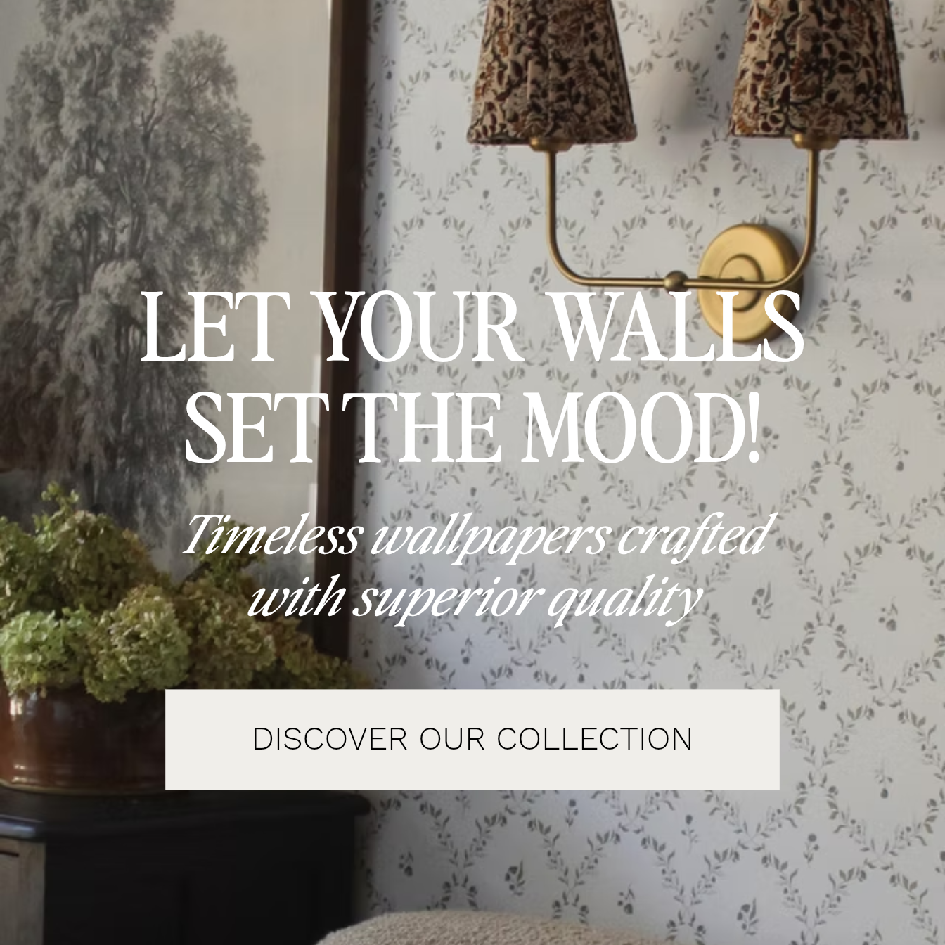 Timeless wallpapers crafted with superior qualit thumbnail