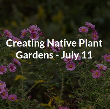 Creating Native Plant Gardens at Adkins Arboretum thumbnail