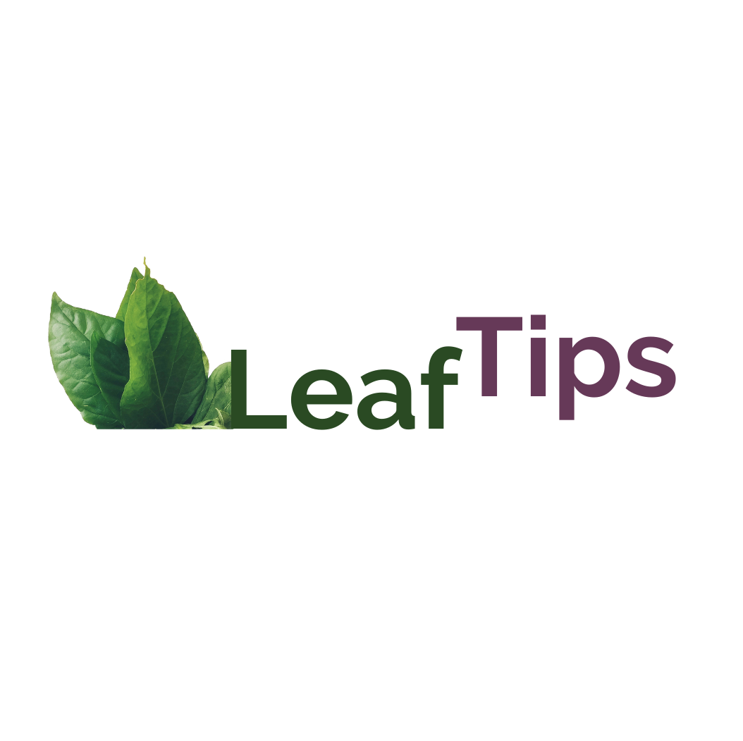 Receive Leaf Tips and more thumbnail