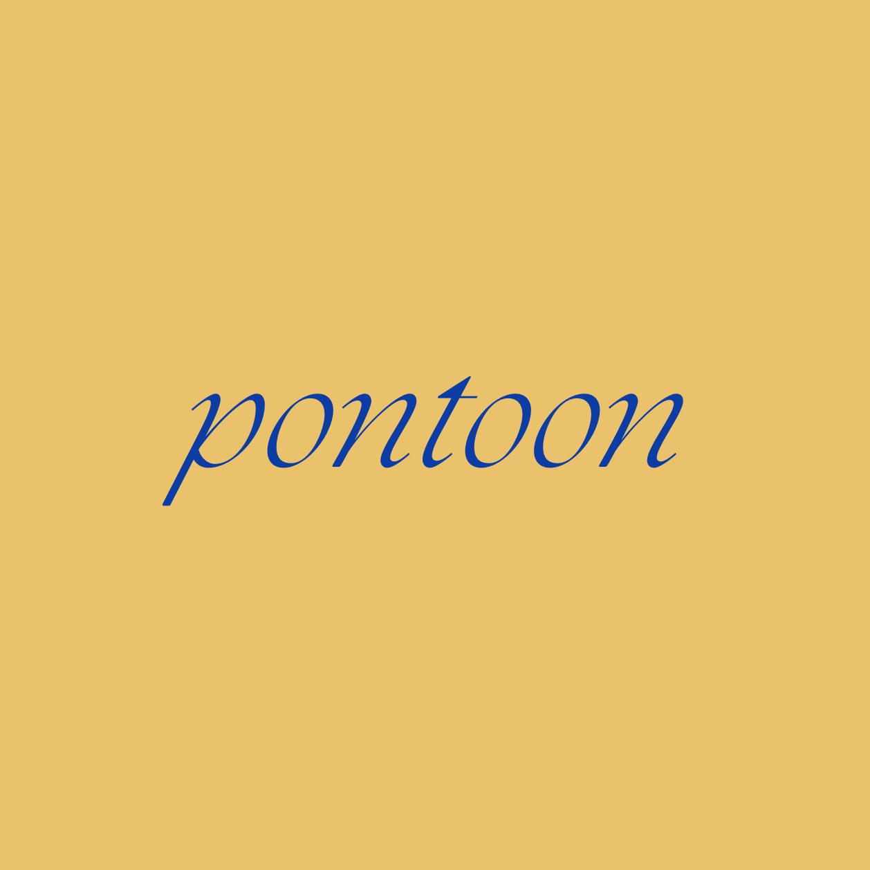 BioSite profile picture for @pontoon