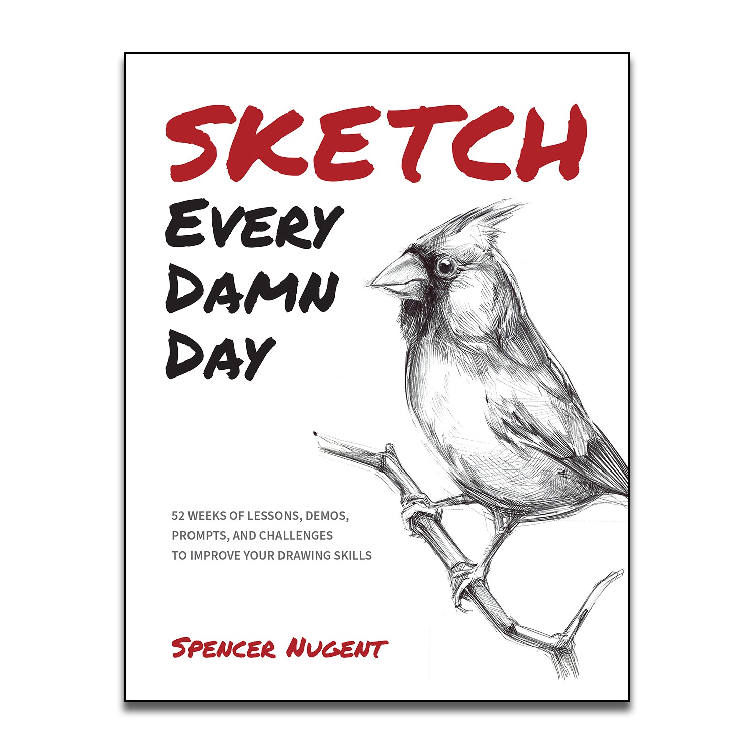 BOOK - SKETCH EVERY DAMN DAY thumbnail